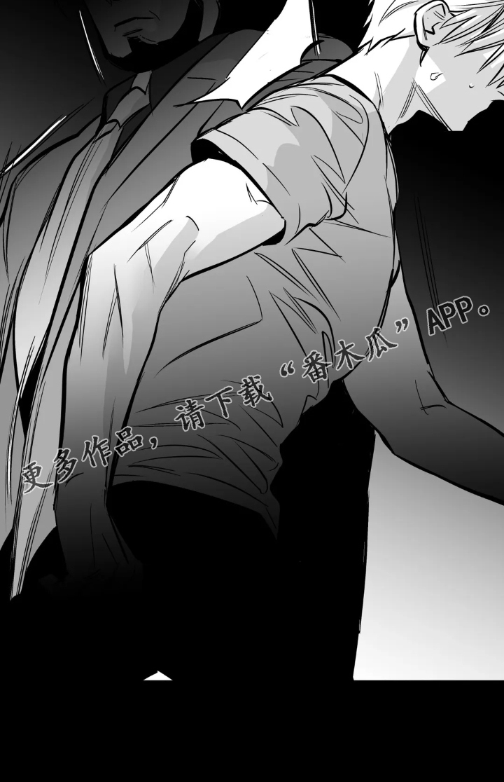 拳击手漫画,第239话1图