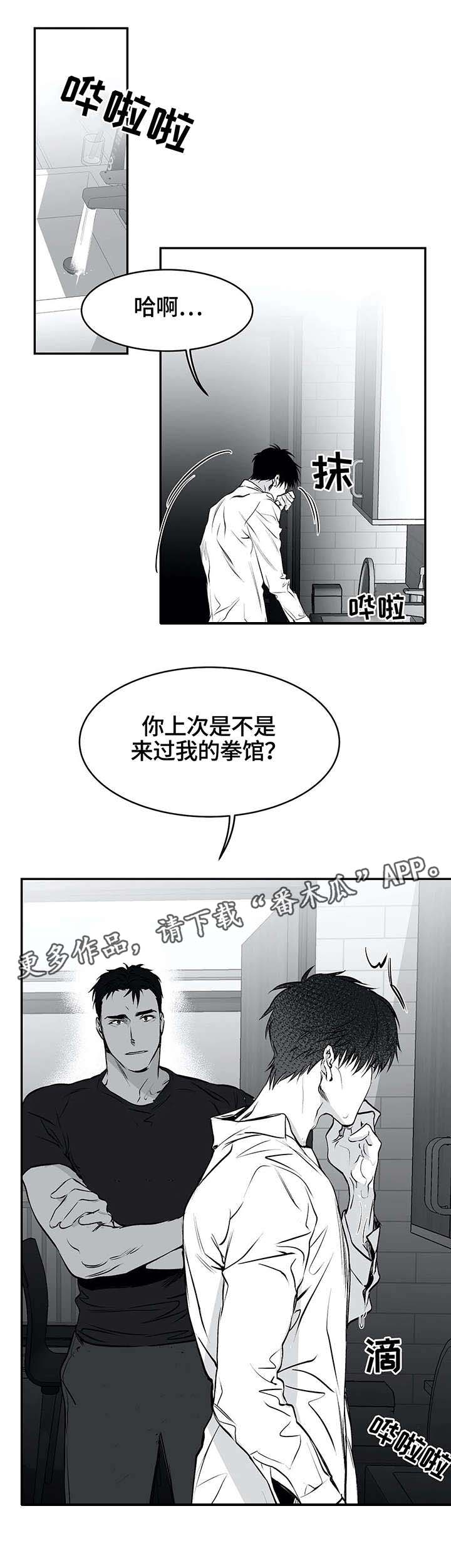 拳击手漫画,第21话2图