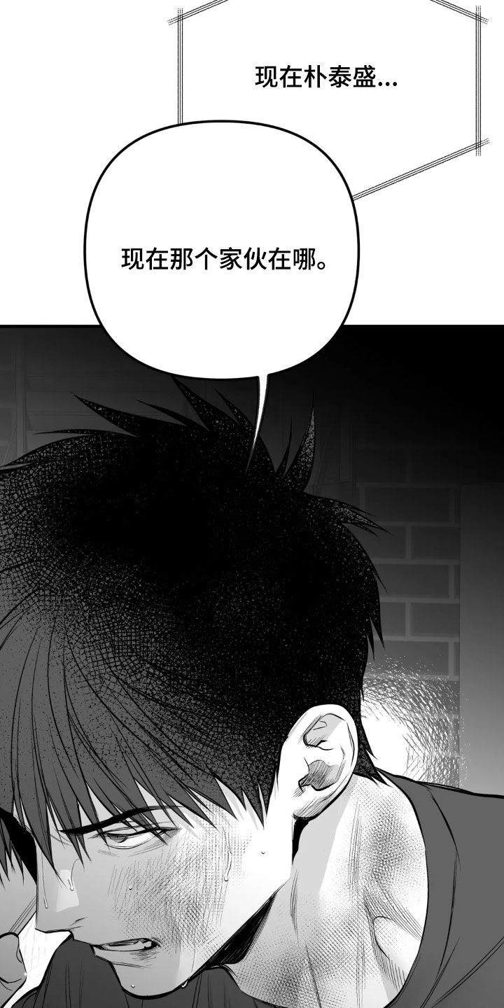 拳击手漫画,第259话1图