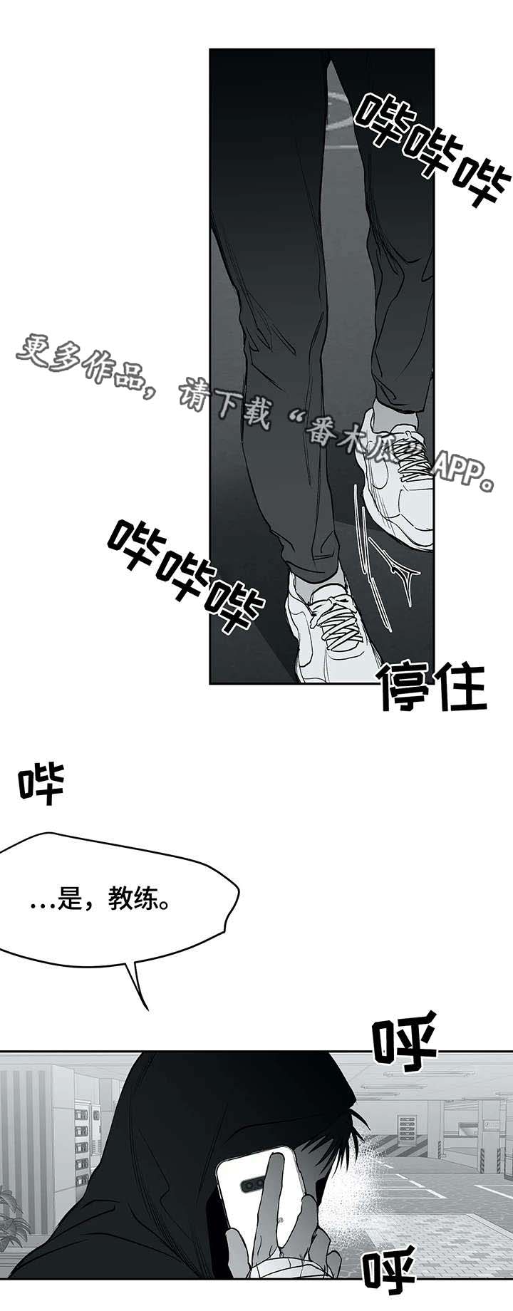 拳击手漫画,第29话1图