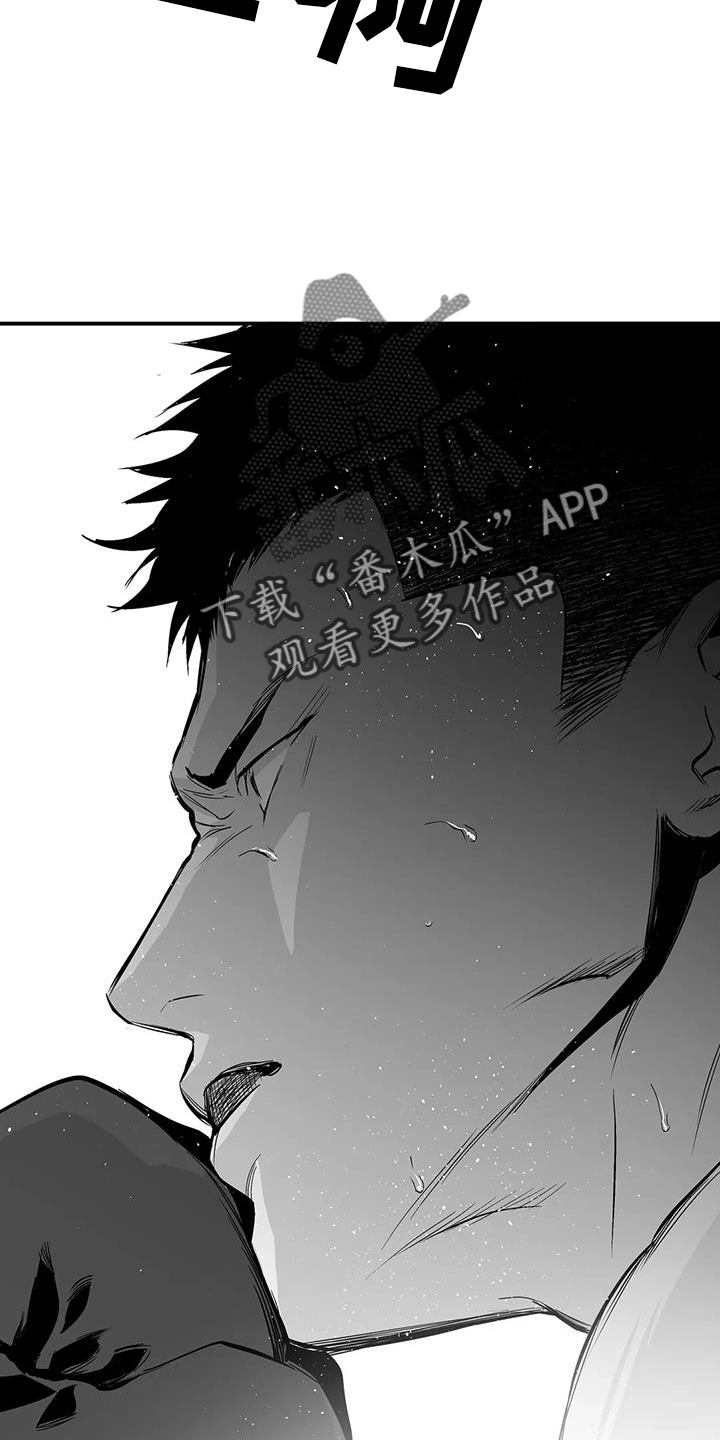 拳击手漫画,第226话2图