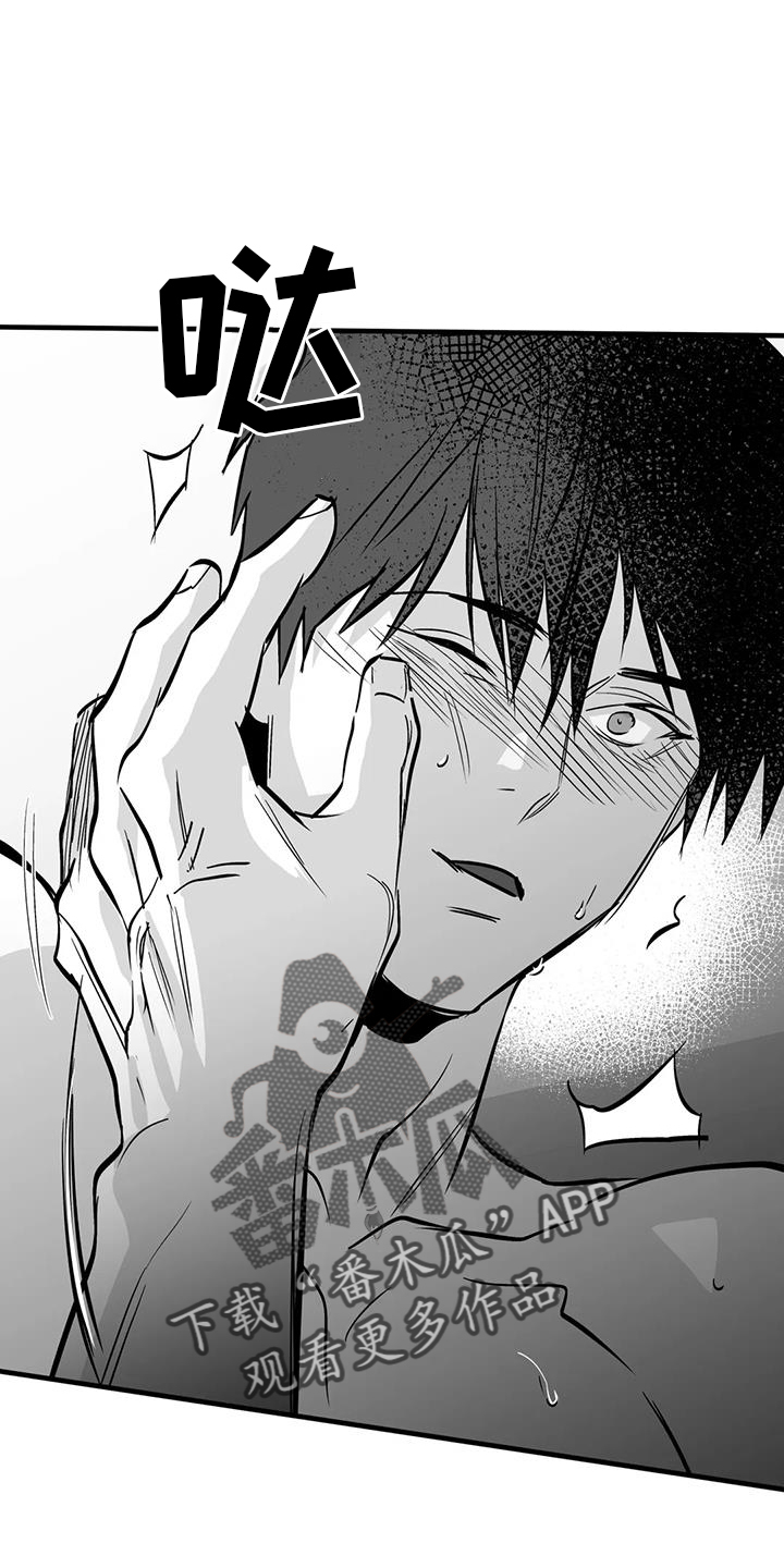 拳击手漫画,第235话2图