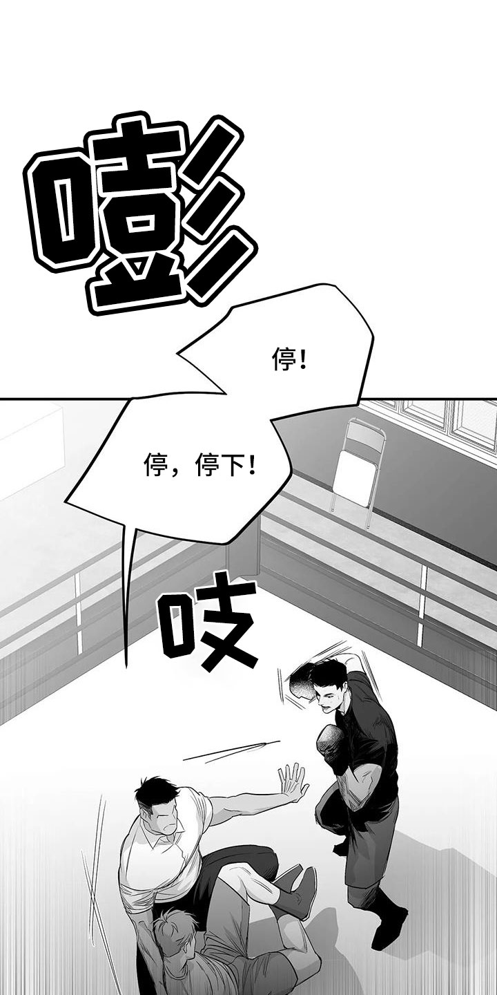 拳击手漫画,第214话1图