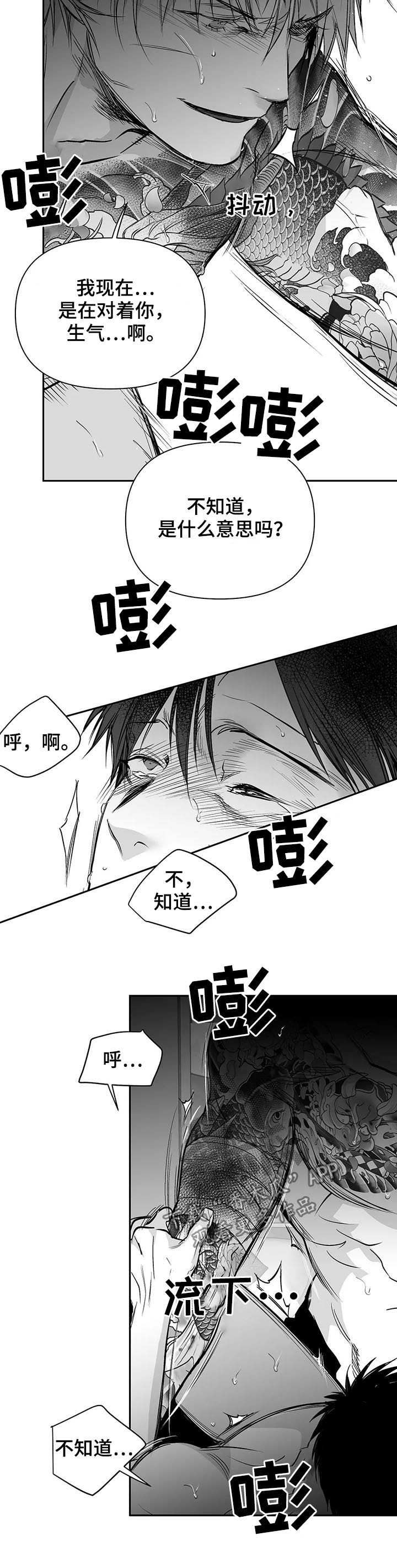 拳击手漫画,第122话1图