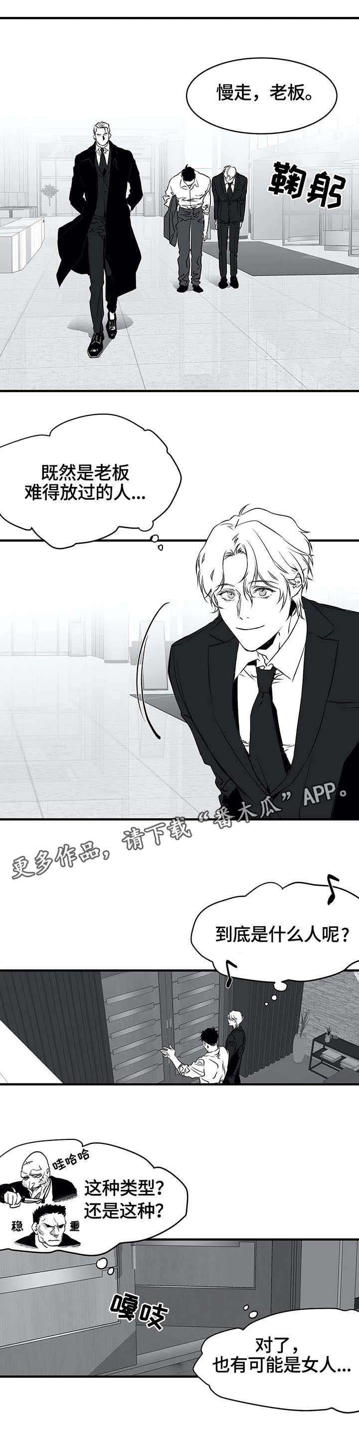 拳击手漫画,第10话1图