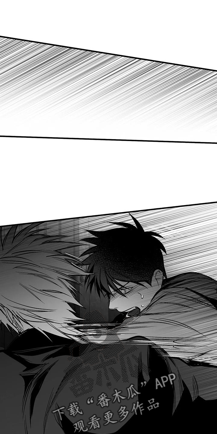拳击手漫画,第232话2图