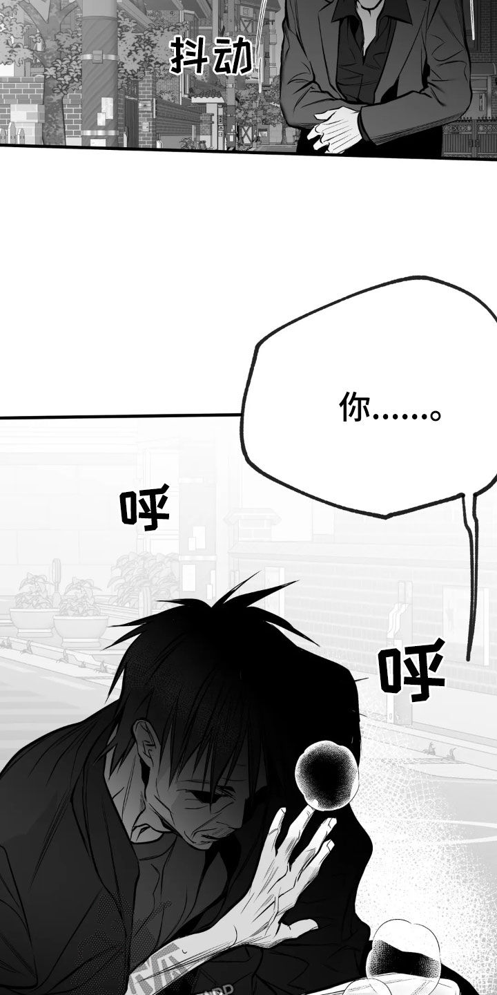 拳击手漫画,第253话1图