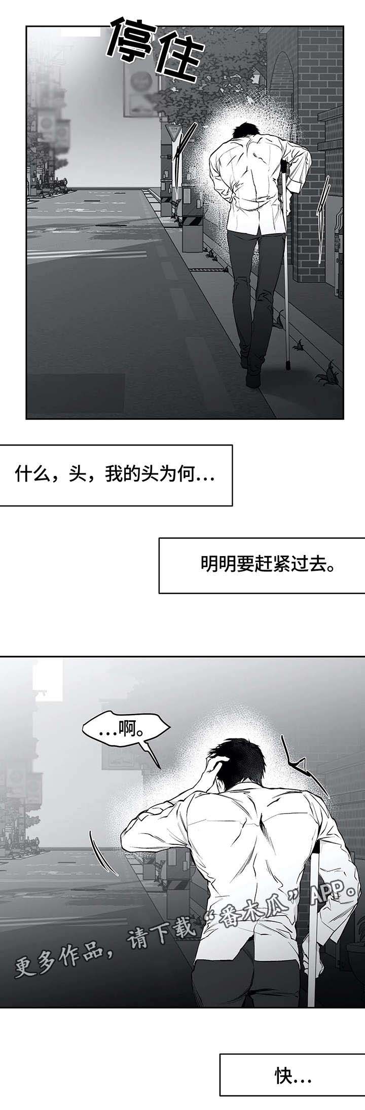 拳击手漫画,第32话1图