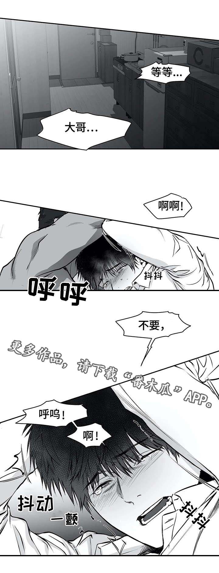 拳击手漫画,第21话1图