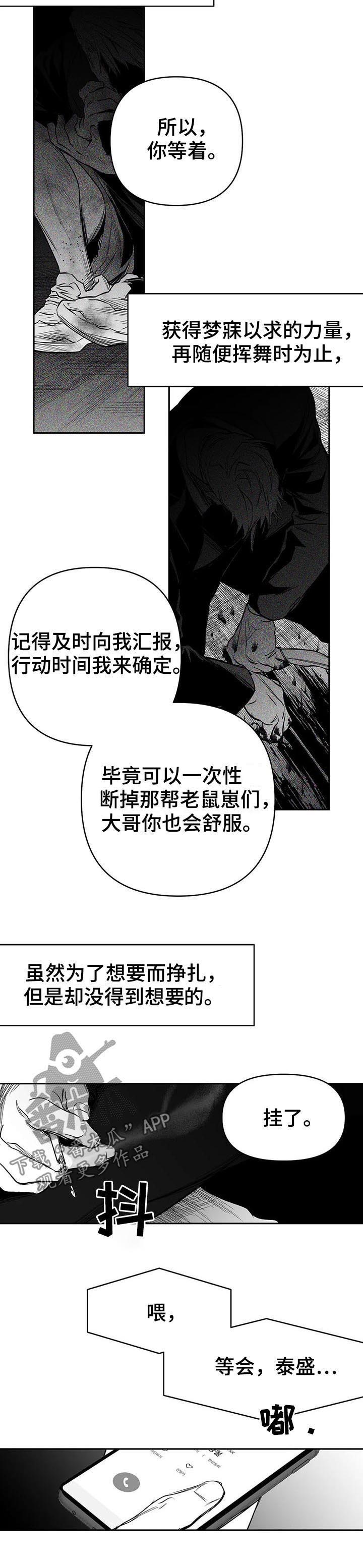 拳击手漫画,第84话1图