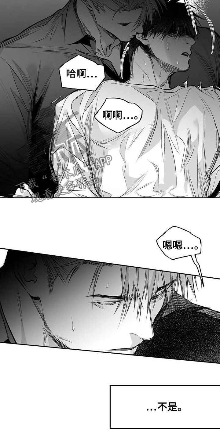 拳击手漫画,第139话2图