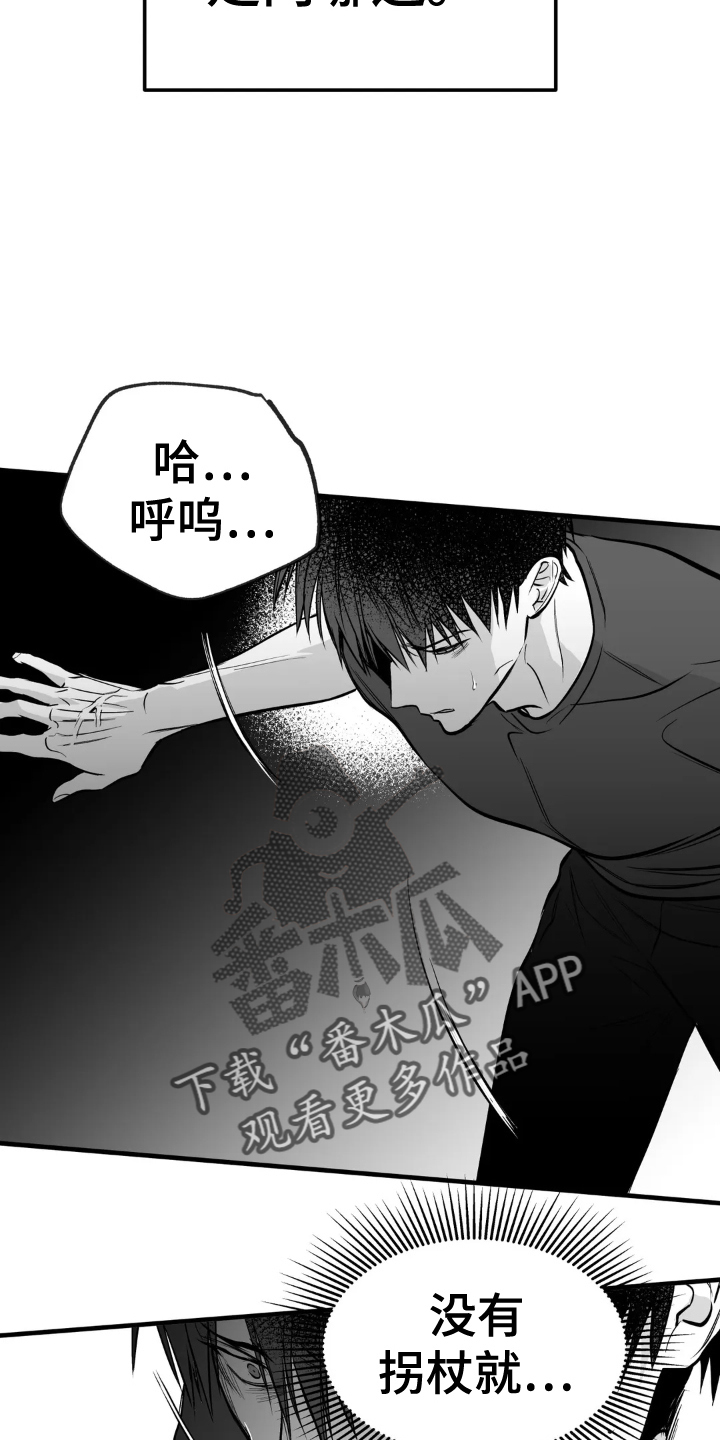 拳击手漫画,第251话2图