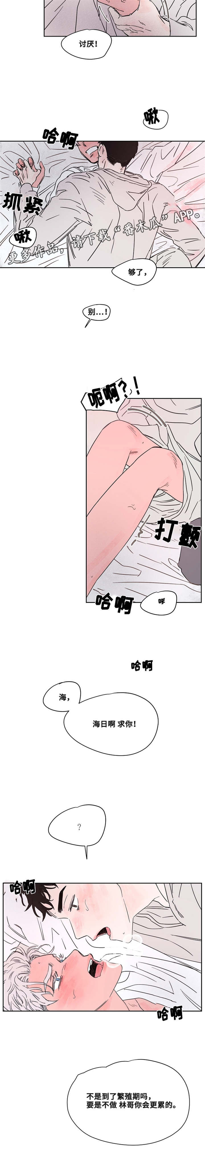 暗香浮动打一生肖漫画,第46章：才知道2图