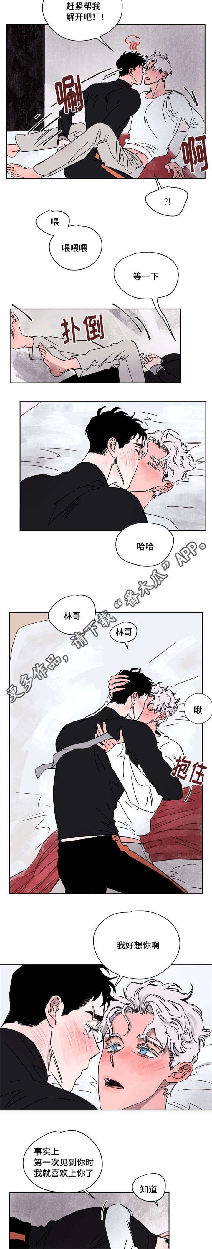 暗香浓情漫画,第57章：喜欢你2图