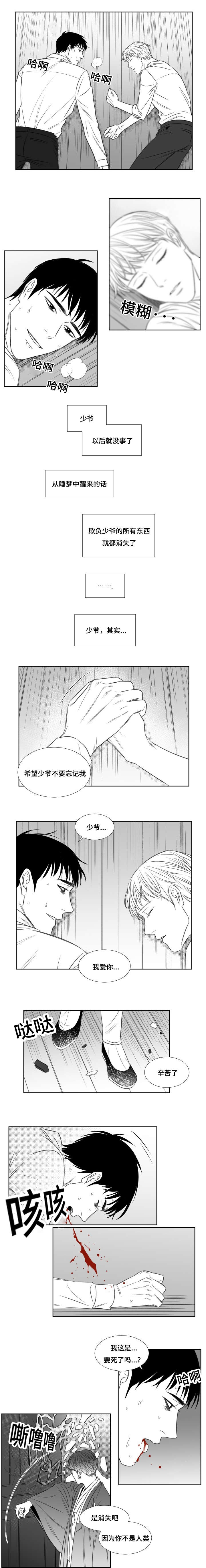 阴阳主宰的简介漫画,第83章：消散1图