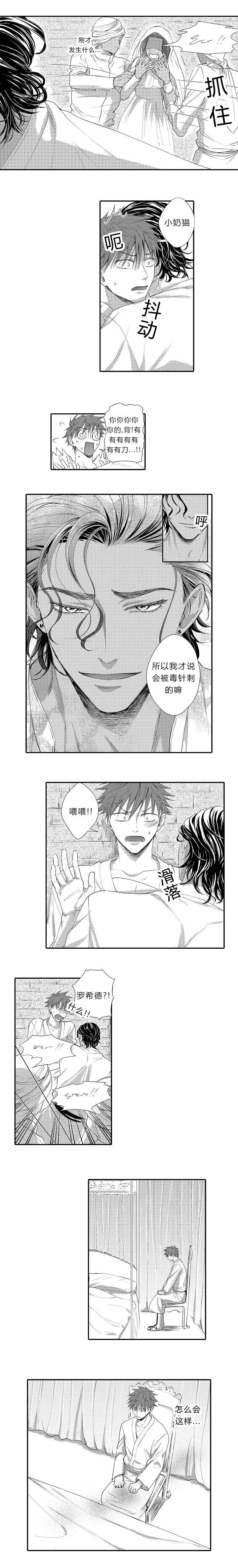 皇家协议漫画,第13章：被刺伤2图