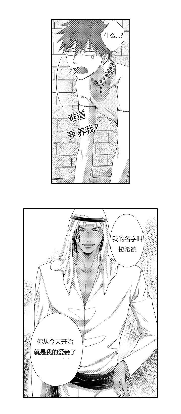 皇家协议漫画,第3章：做我的爱妾2图