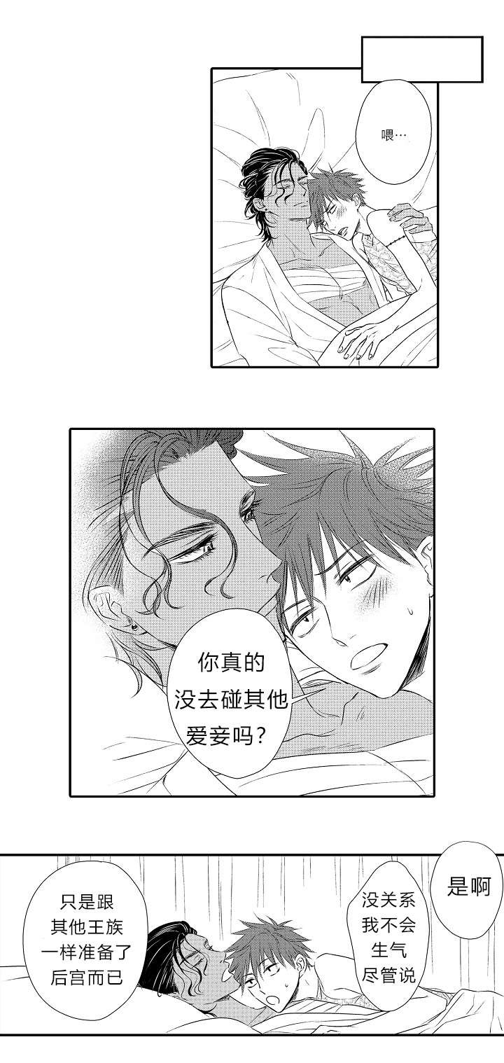 皇家协议漫画,第16章：表白心迹1图