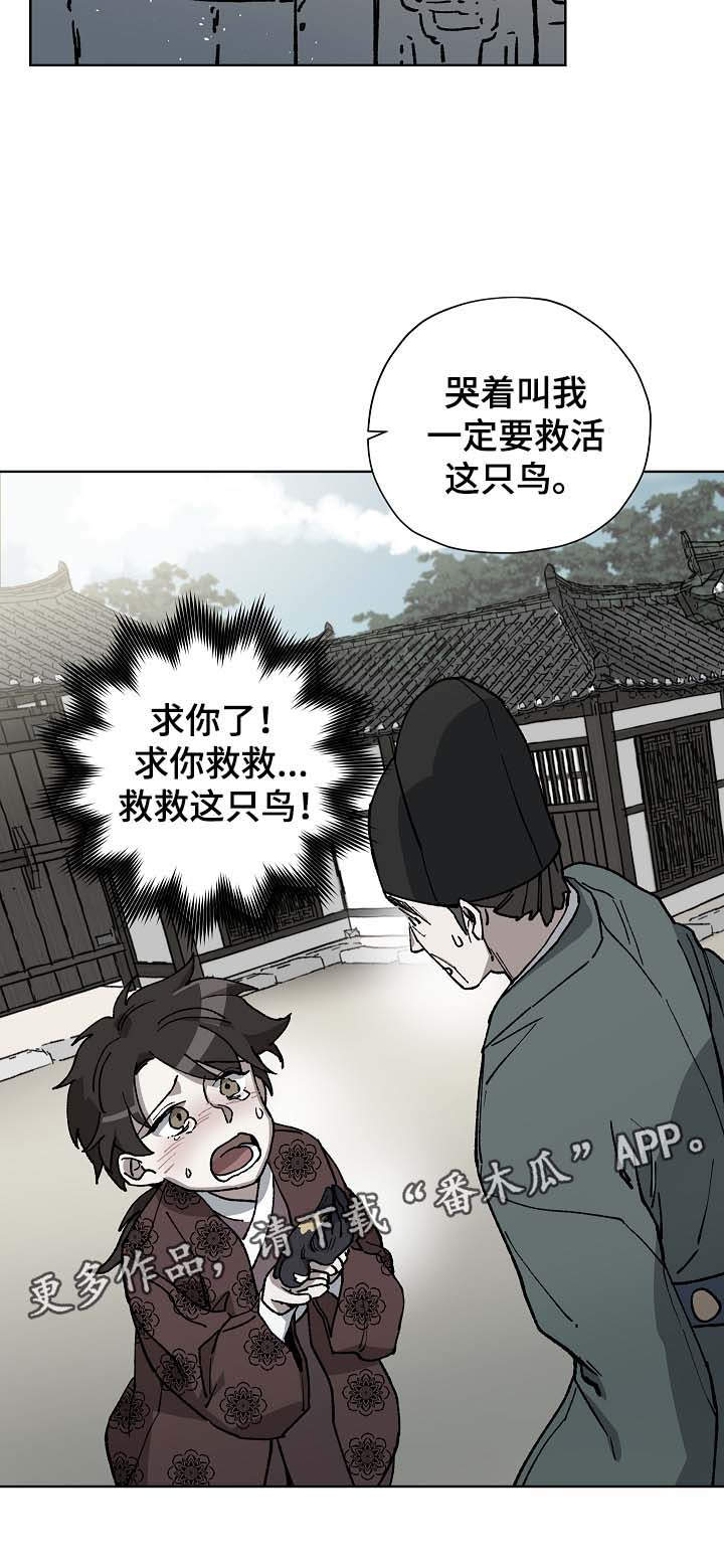 王储难保漫画,第63章：探望王后1图