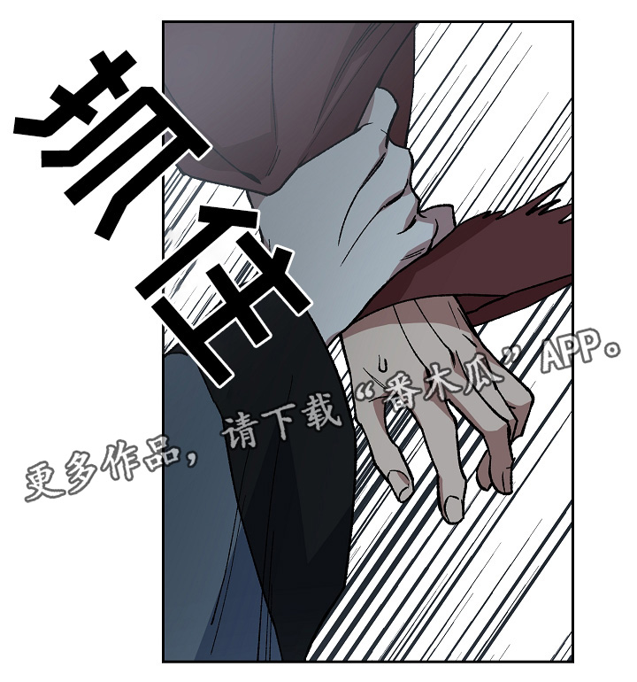王储加冕仪式漫画,第121章：手足之情2图