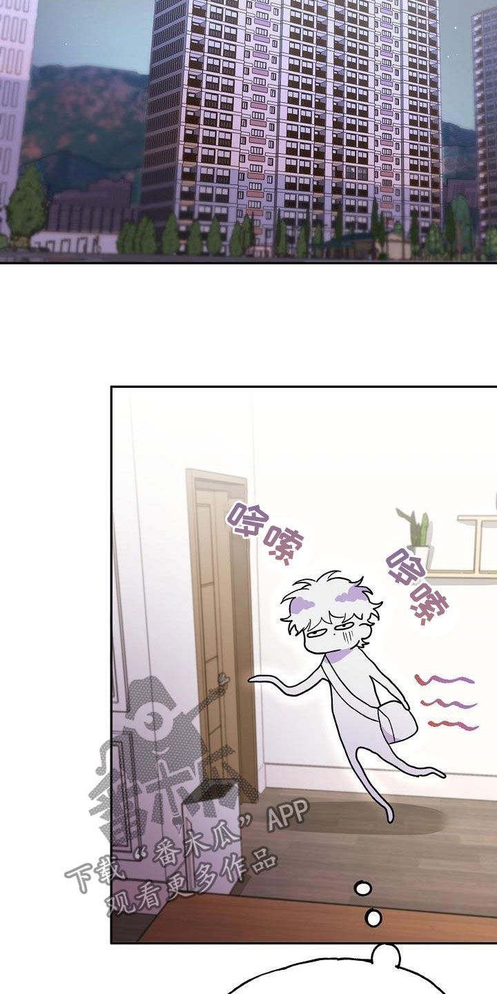 亲人超市开业礼物漫画,第31话1图