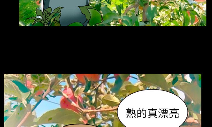 虚荣官网官网下载漫画,第48章：都准备好了1图