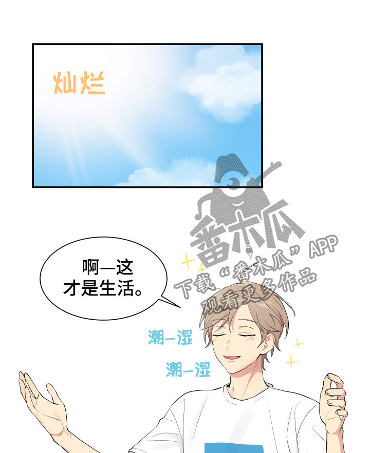 贴身特工全文免费阅读漫画,第84章：有点像博士1图