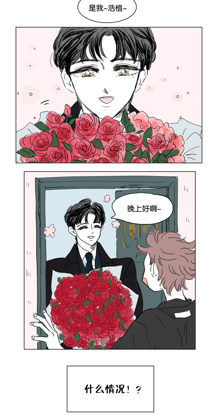 一家四口漫画,第19章：那是什么2图