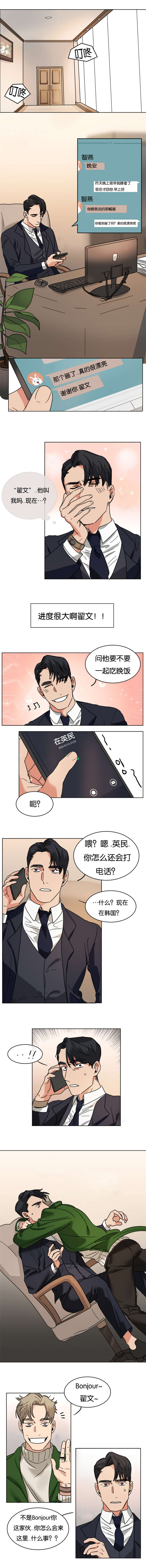 智燕精选赤霞珠干红葡萄酒价格漫画,第20章：大洋彼岸的朋友归来2图