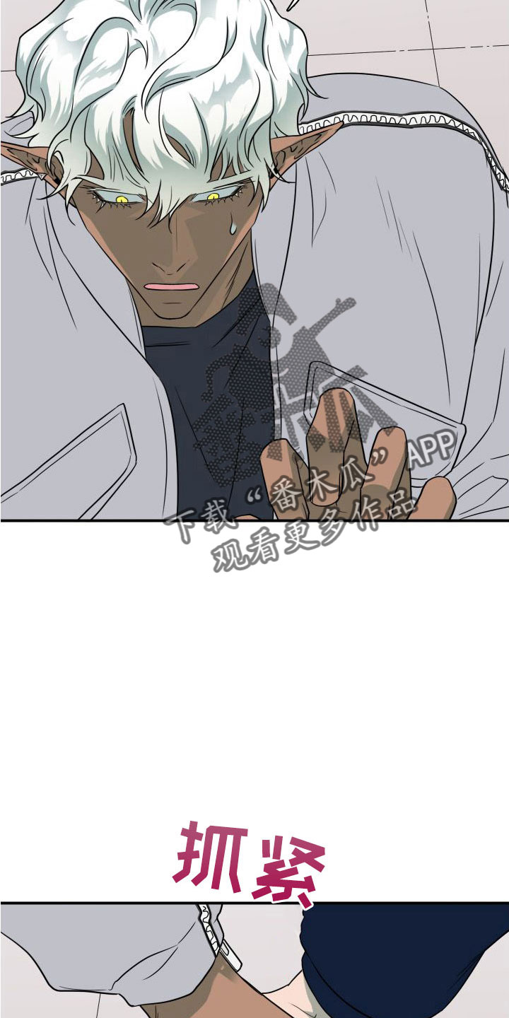 黑焰炸鸡漫画,第292章：【番外】可爱情侣1图
