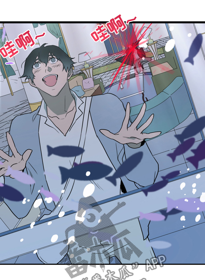 黑焰纹章漫画,第249章：【番外】期待的洞房2图