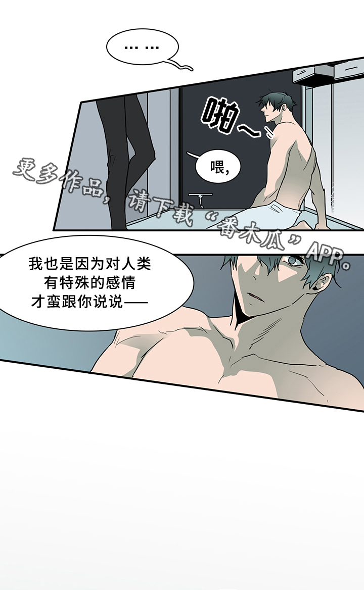 黑焰炸鸡漫画,第75章：谎言2图