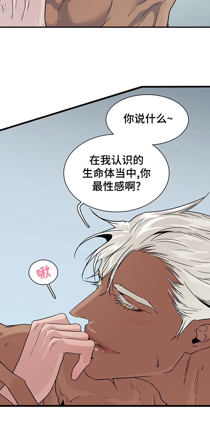 黑焰纹章漫画,第176章：米迦勒2图