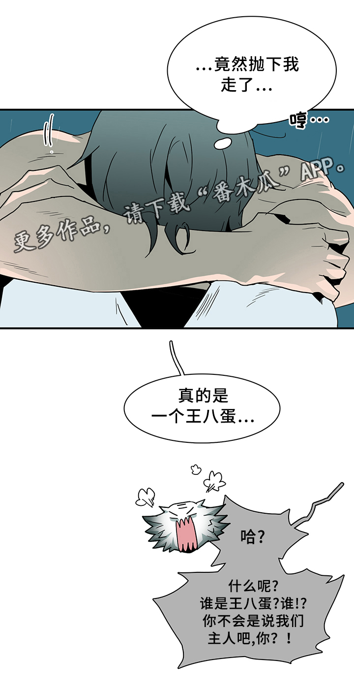 黑焰印记搭配漫画,第83章：行踪2图