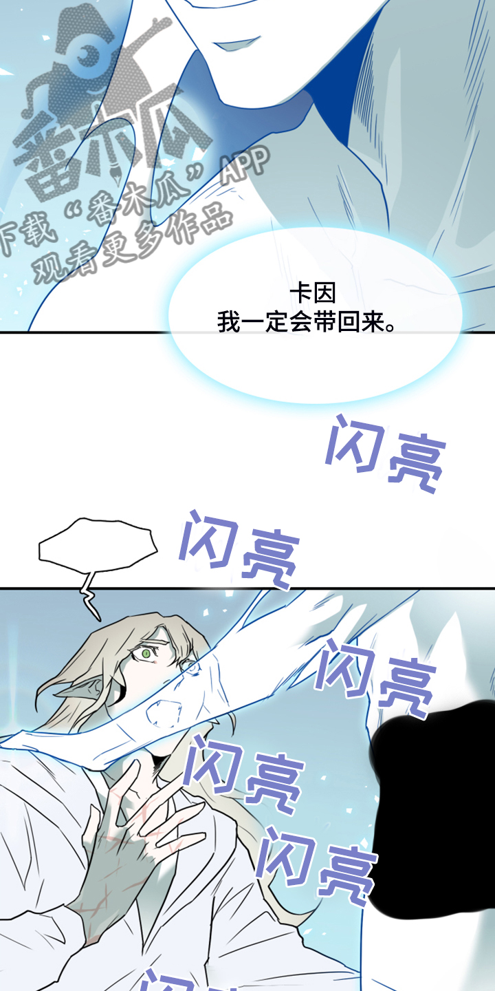 黑焰纹章漫画,第242章：是真的吗1图