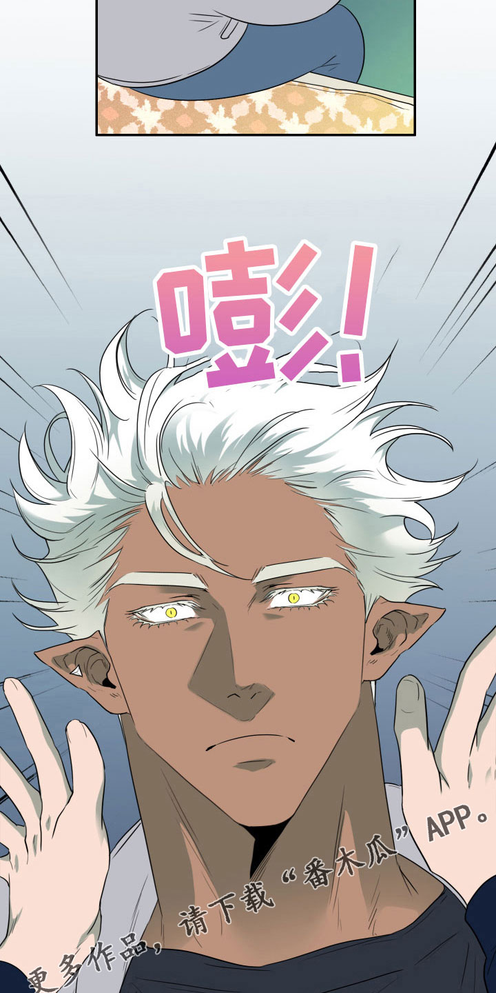 黑焰炸鸡漫画,第297章：【番外】回去吧1图