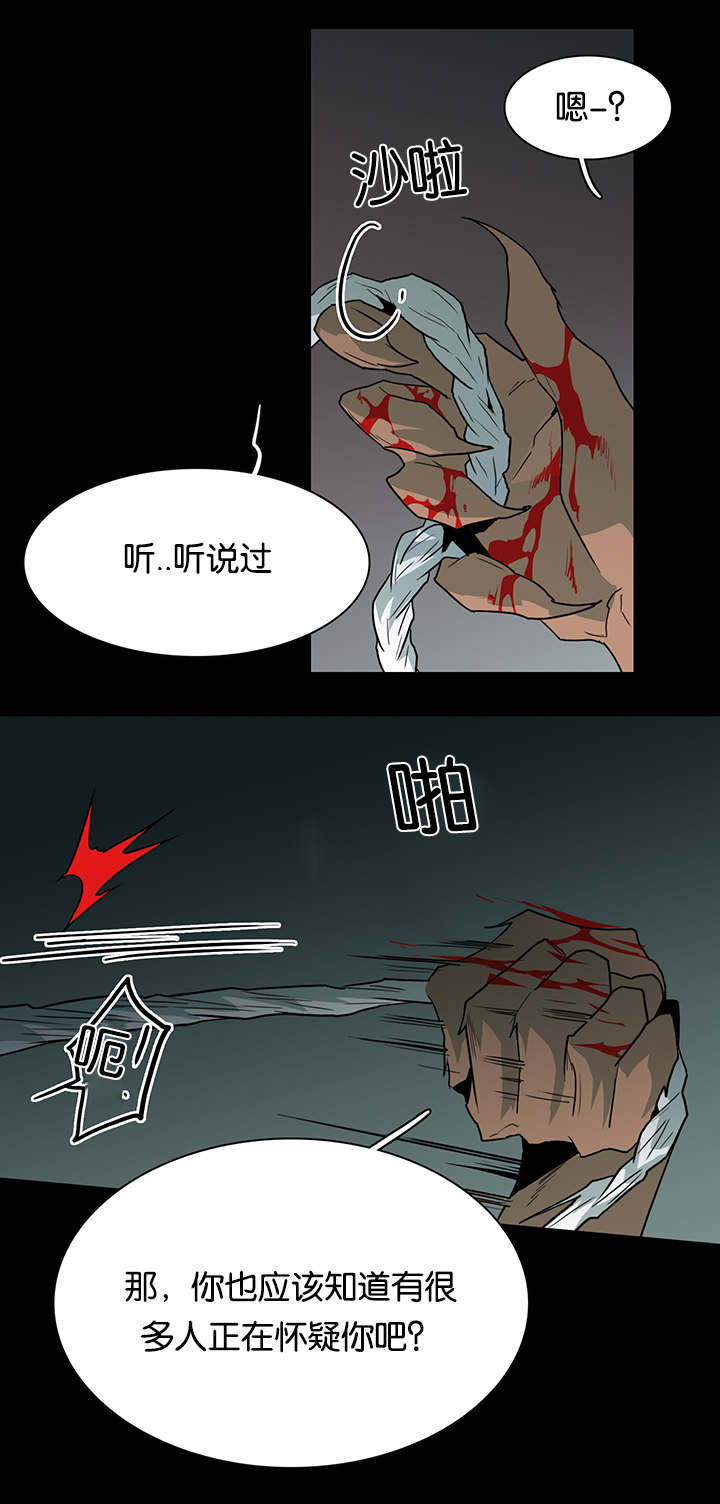 黑焰纹章漫画,第52章：王与臣1图