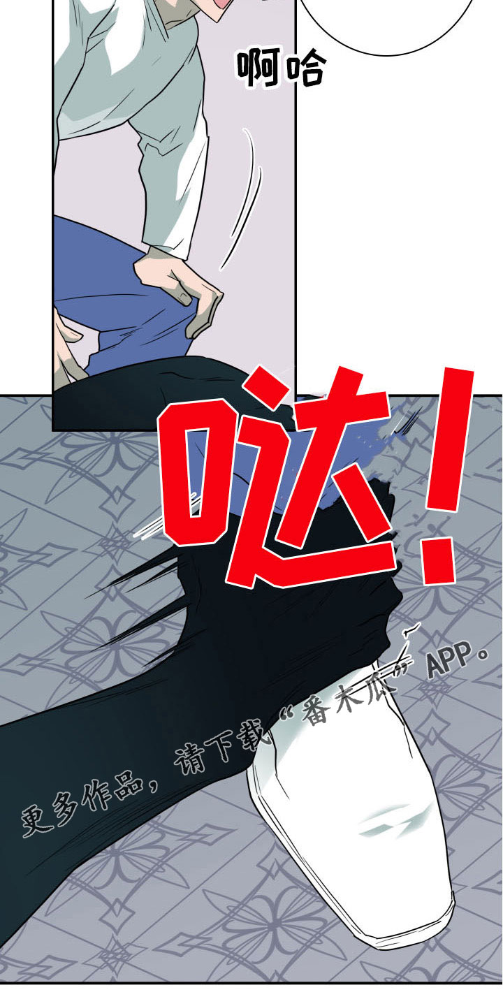 黑焰炸鸡漫画,第283章：【番外】想问什么1图