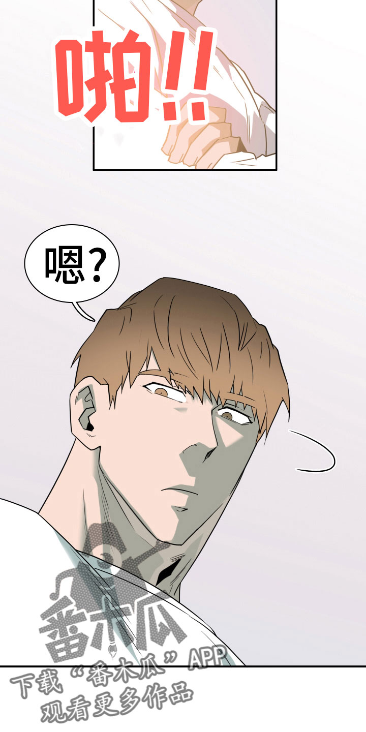 黑焰纹章漫画,第281章： 【番外】投票结果1图