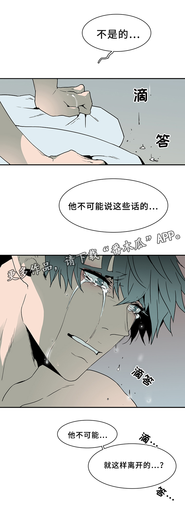 黑焰纹章漫画,第75章：谎言2图