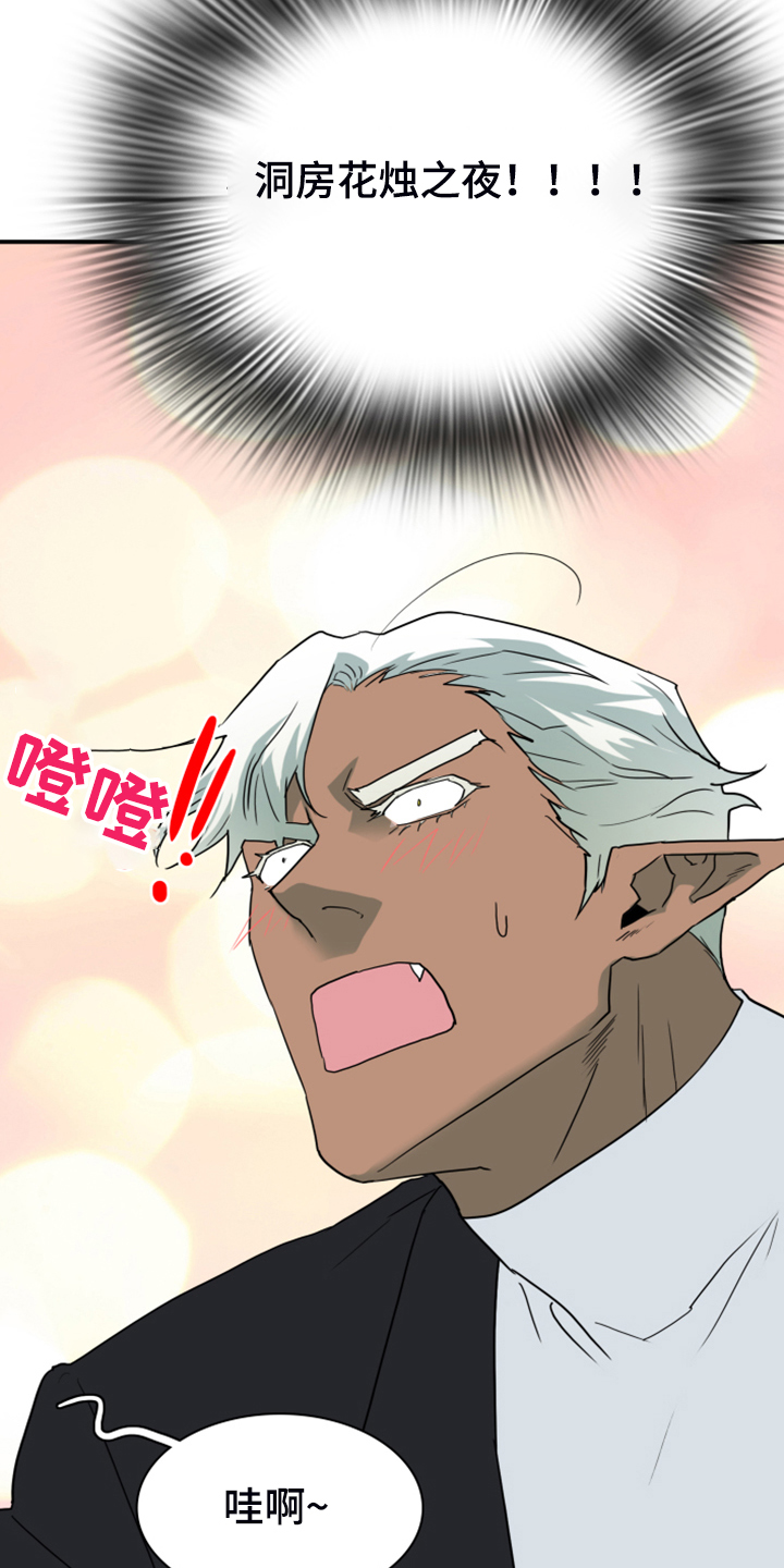 黑焰炸鸡漫画,第249章：【番外】期待的洞房1图