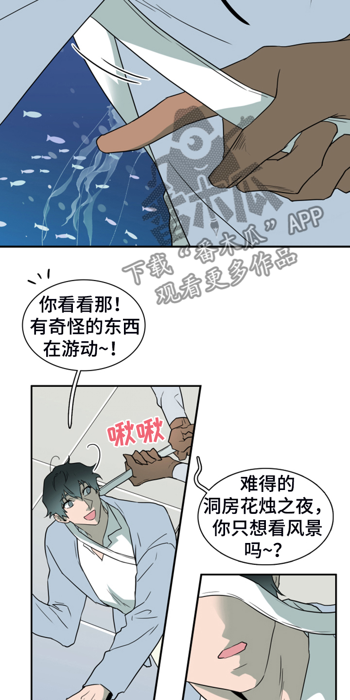黑焰纹章漫画,第249章：【番外】期待的洞房1图