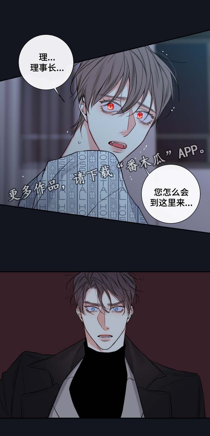 半血猎人丹皮尔父亲漫画,第45章：必须找到你1图