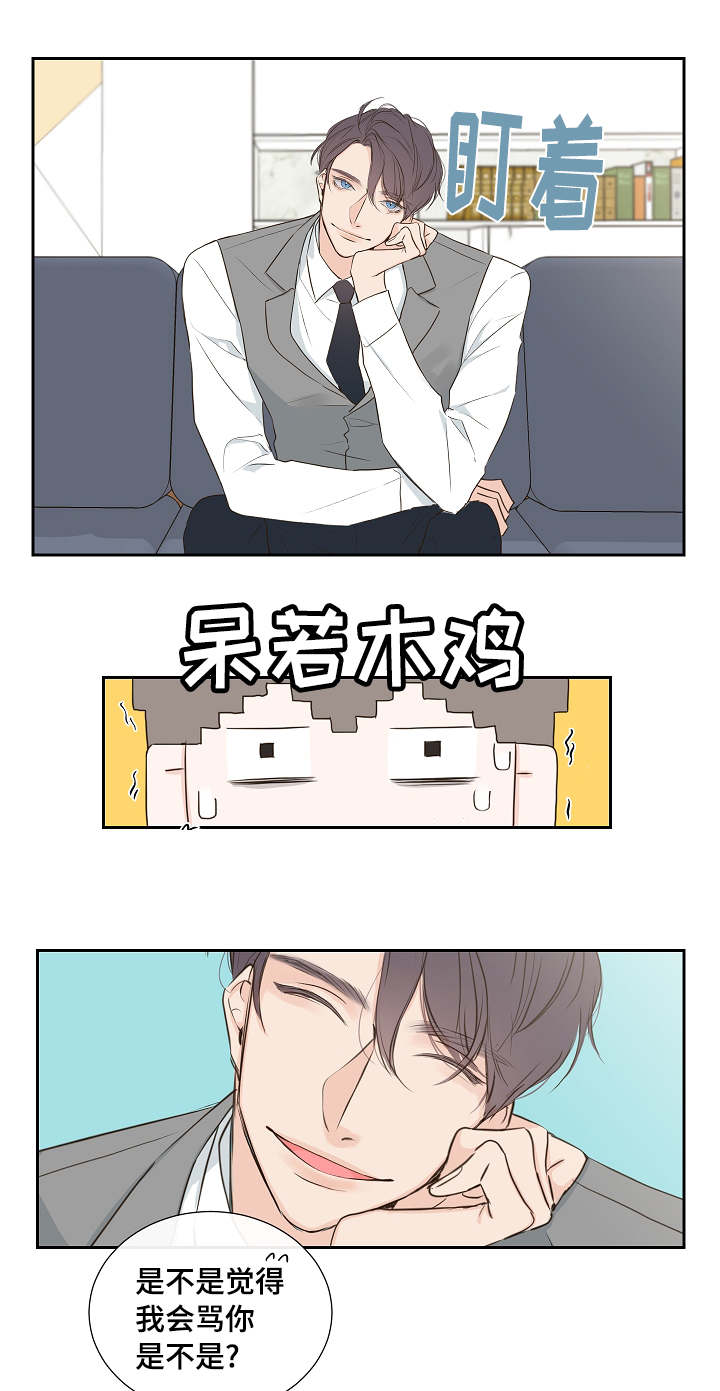 半血马养殖知识漫画,第2章：总裁1图