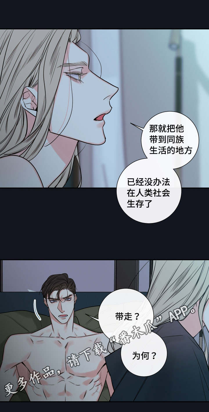 半血族漫画,第41章：确认现状1图