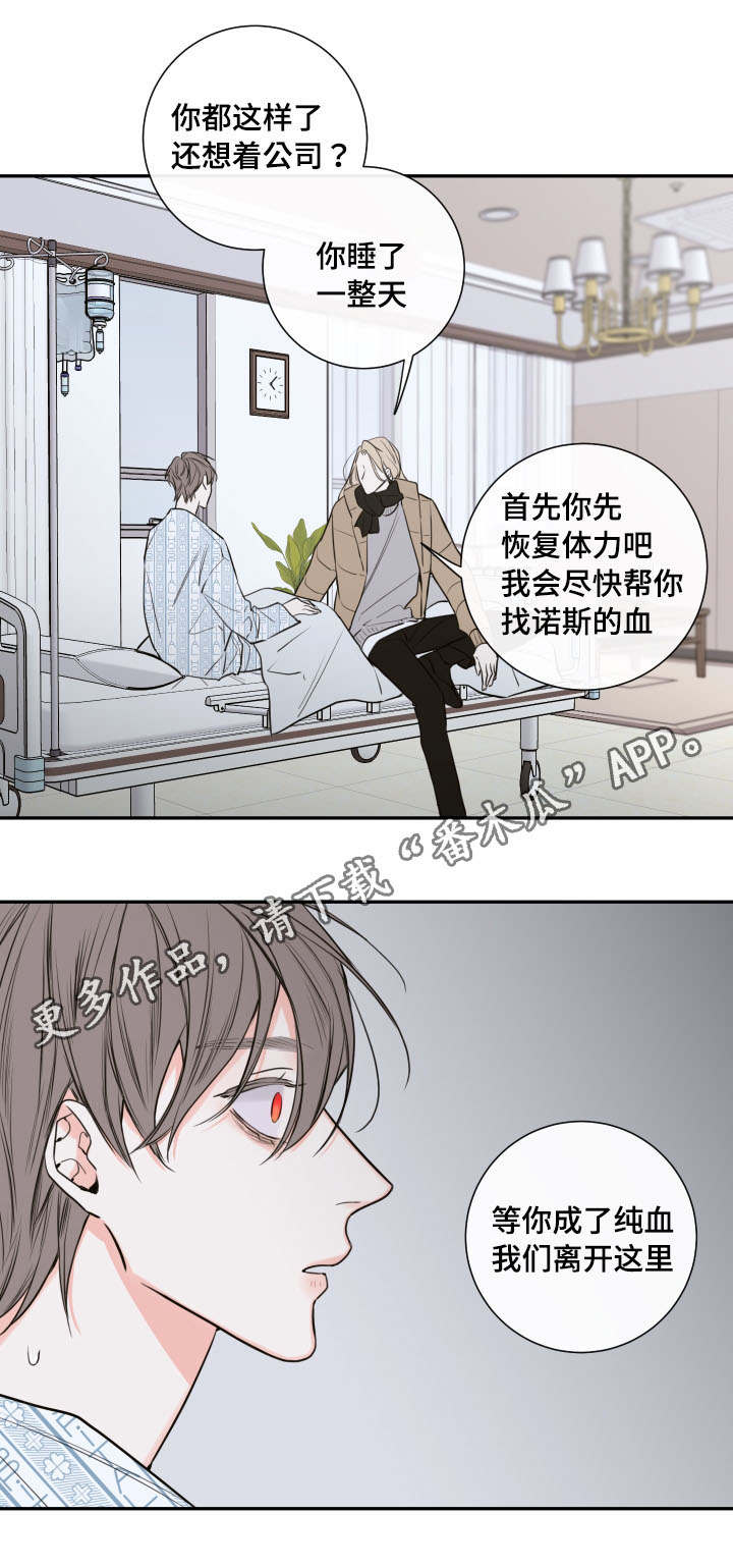 半血族是什么意思漫画,第42章：离开2图