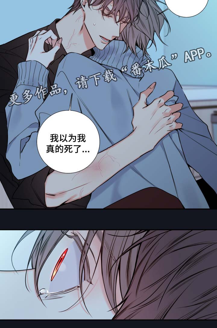 半吸血鬼半人类特征漫画,第60章：异常情况1图