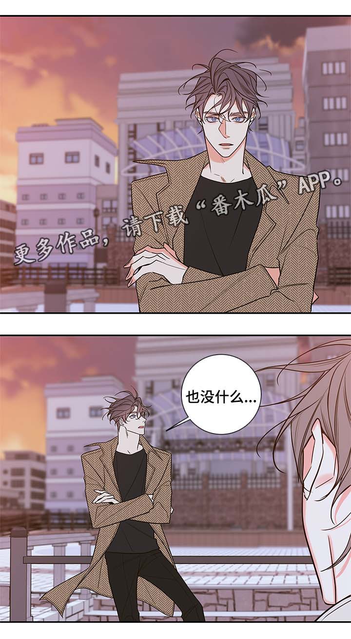 半血统拉布拉多漫画,第79章：我喜欢你，姜宇1图