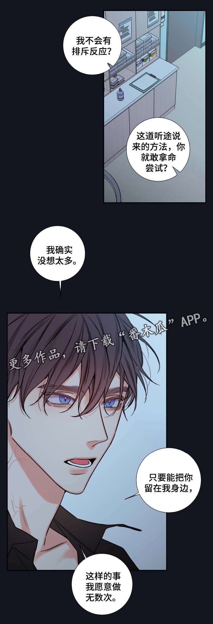 半血马适合进行哪些运动项目漫画,第60章：异常情况2图