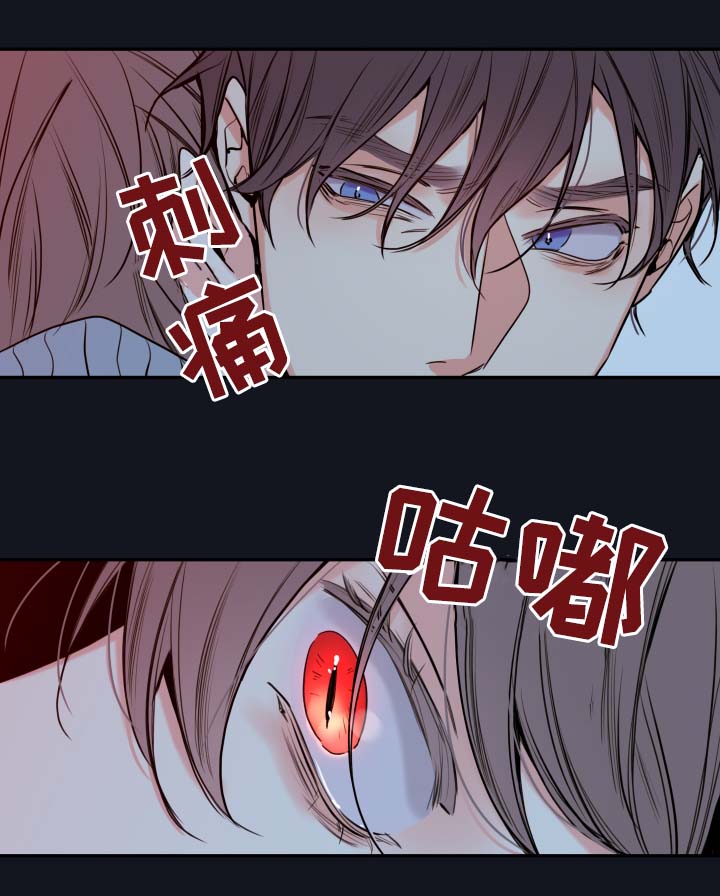 半血马适合进行哪些运动项目漫画,第60章：异常情况1图